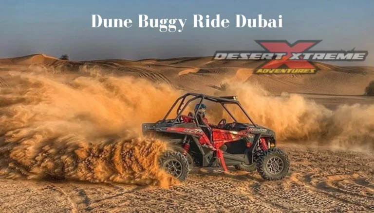 Dune buggy adventure ride in desert dunes of Dubai