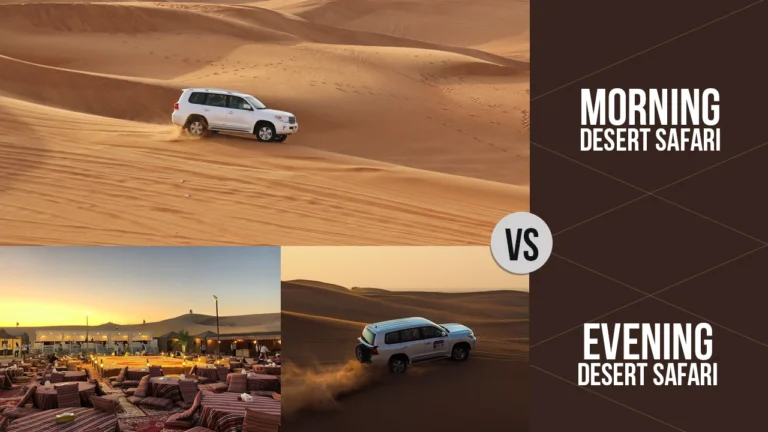 Morning vs evening desert safari in Dubai