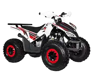 SHARMAX ATV 250 CC